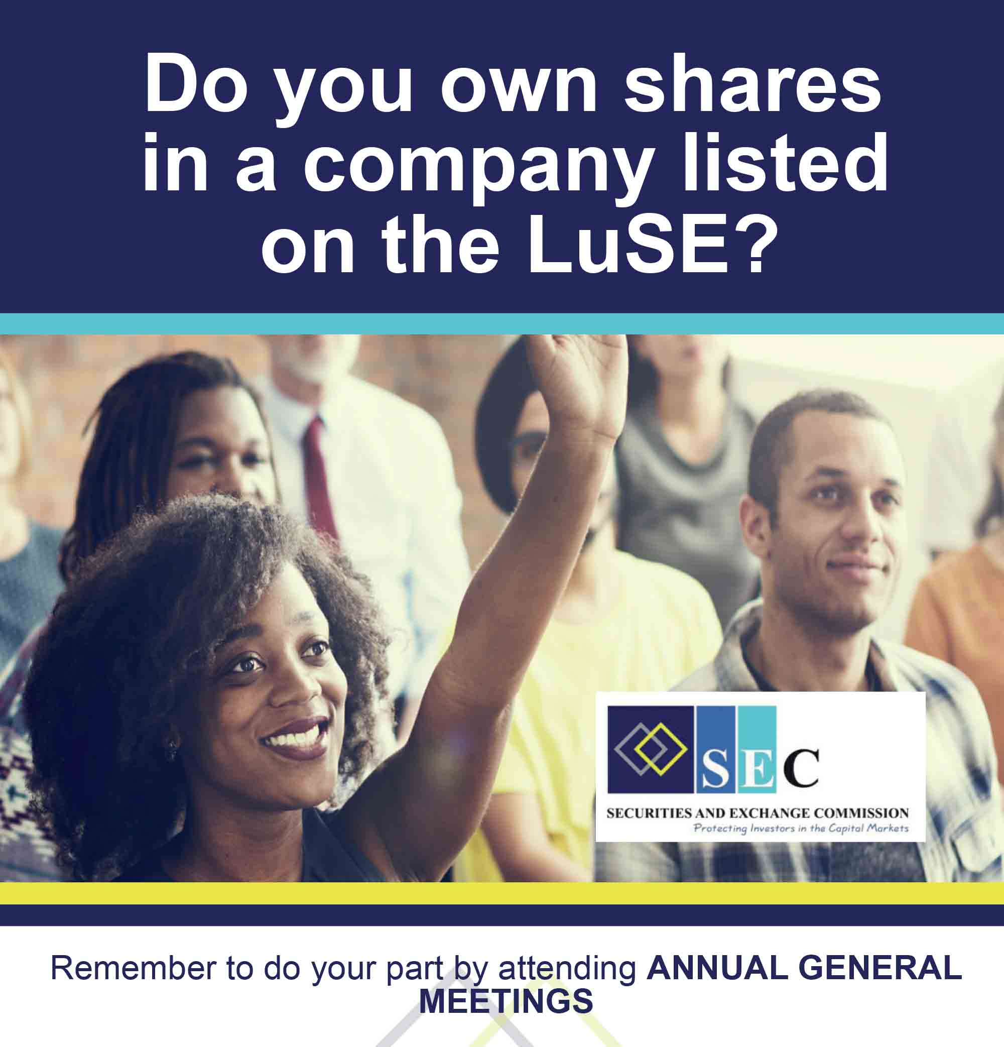 Do you own shares in a company listed on the LuSe